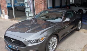 FORD MUSTANG VI FASTBACK 2.3 ECOBOOST 317 CH PREMIUM BVA plein