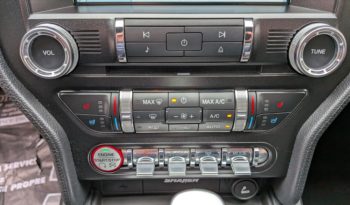 FORD MUSTANG VI FASTBACK 2.3 ECOBOOST 317 CH PREMIUM BVA plein